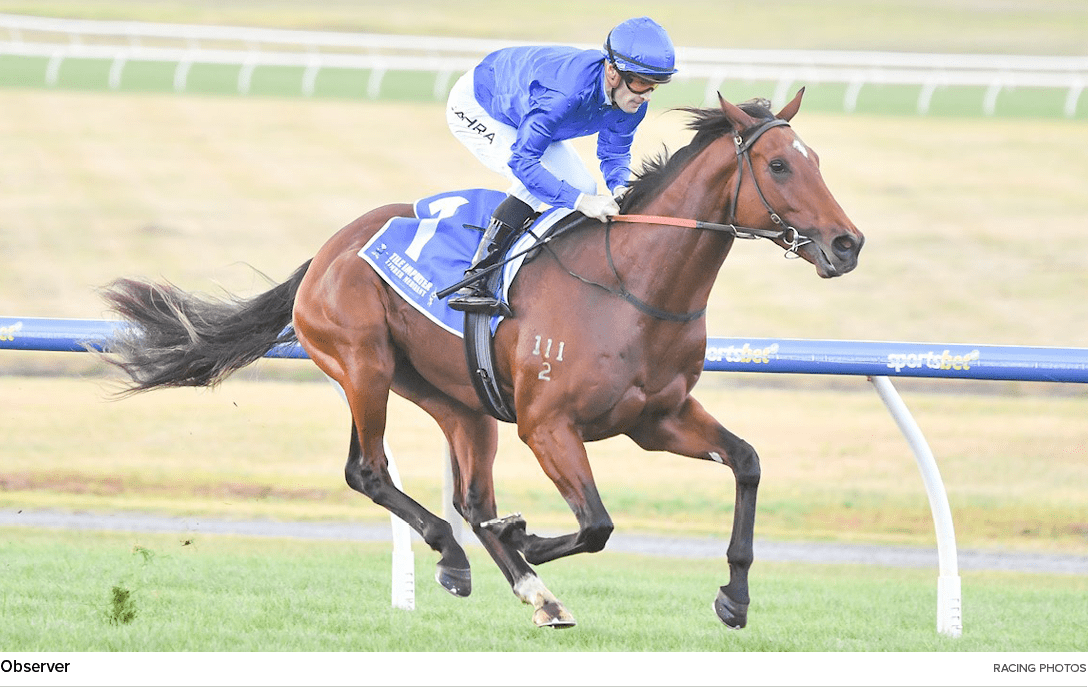 Observer racing photo