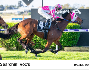 Searchin’ Roc’s racing W