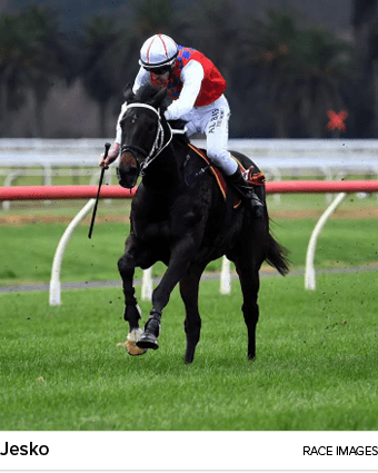 Jesko Race Image