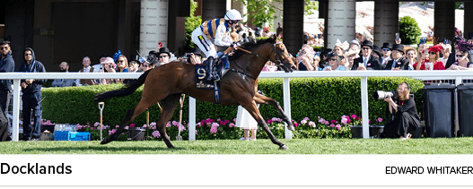 Docklands Edward Whitake