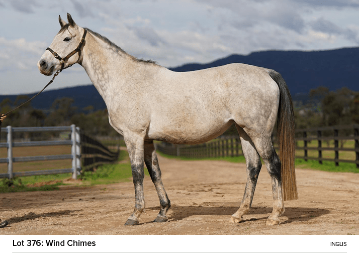 Lot 376: Wind Chimes ingli