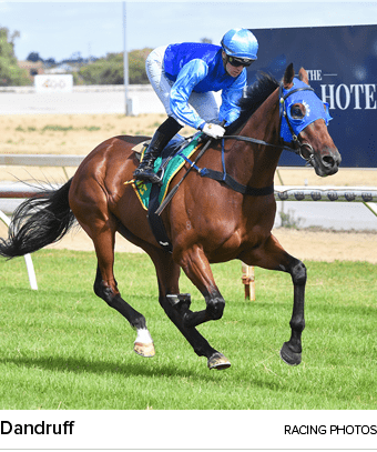 Dandruff racing photo