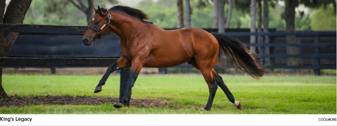 King's Legacy coolmor