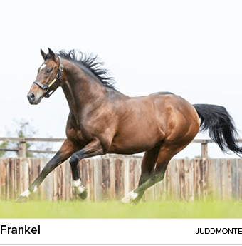 Frankel juddmont