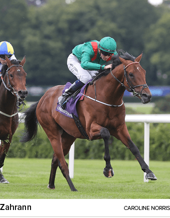 Zahrann caroline norri