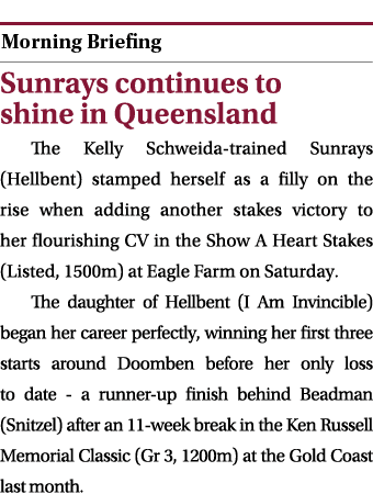  ￼ Sunrays continues to shine in Queensland The Kelly Schweida trained Sunrays (Hellbent) stamped herself as a filly ...