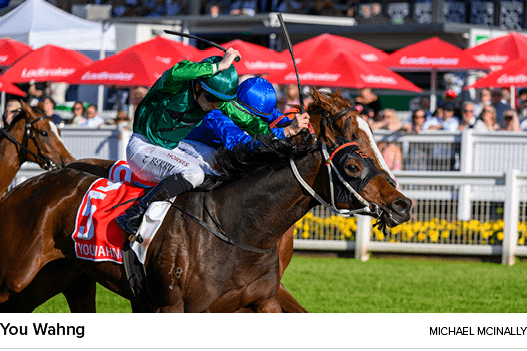 You Wahng Michael McInall