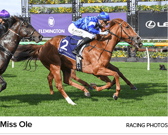 Miss Ole RAcing photo