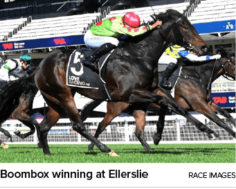 Boombox winning at Ellerslie Race Image