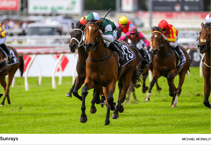 Sunrays Michael McInall