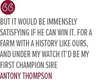 But it would be immensely satisfying if he can win it. For a farm with a history like ours, and under my watch it’d b...