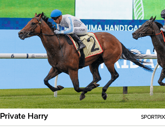 Private Harry sportpi