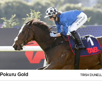 Pokuru Gold Trish Dunell