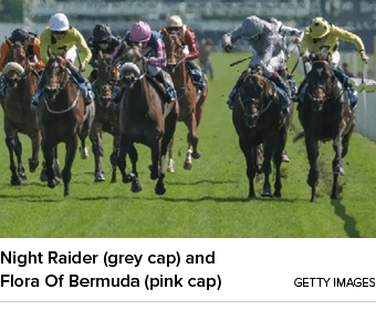 Night Raider (grey cap) and Flora Of Bermuda (pink cap) Getty Image