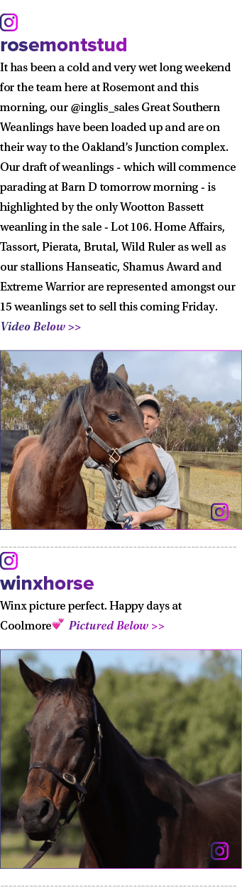 ￼ rosemontstud It has been a cold and very wet long weekend for the team here at Rosemont and this morning, our @ingl...