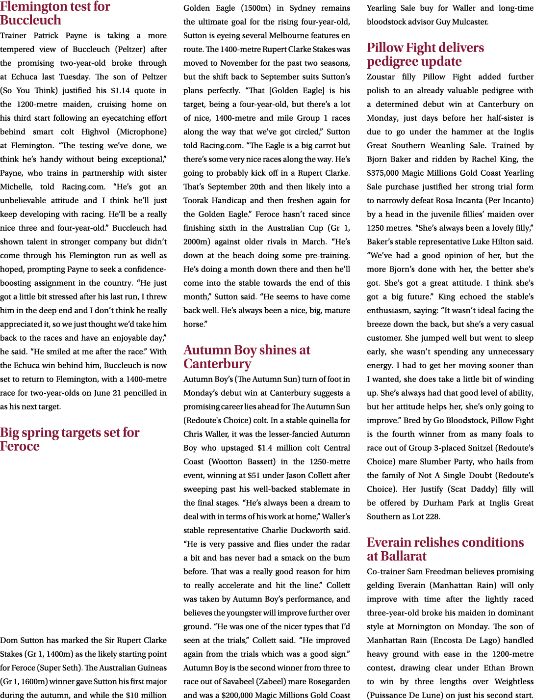 Flemington test for Buccleuch Trainer Patrick Payne is taking a more tempered view of Buccleuch (Peltzer) after the p...