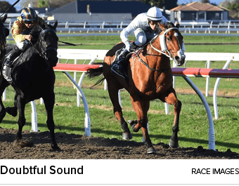 Doubtful Sound Race Image