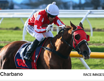 Charbano Race Image