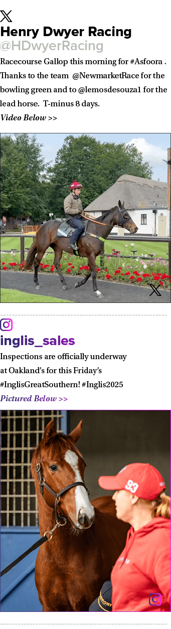 ￼ Henry Dwyer Racing @HDwyerRacing Racecourse Gallop this morning for #Asfoora . Thanks to the team @NewmarketRace fo...