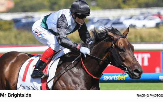 Mr Brightside Racing Photo