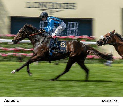 Asfoora Racing Po