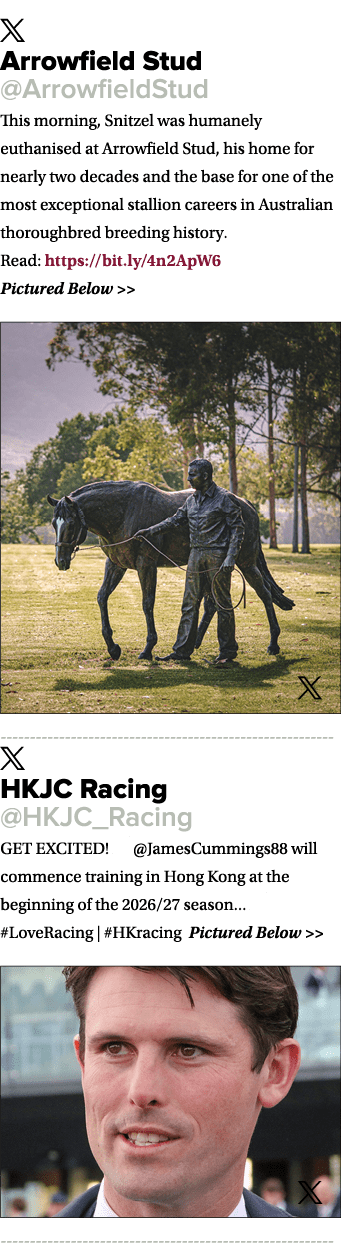 ￼ Arrowfield Stud @ArrowfieldStud This morning, Snitzel was humanely euthanised at Arrowfield Stud, his home for near...