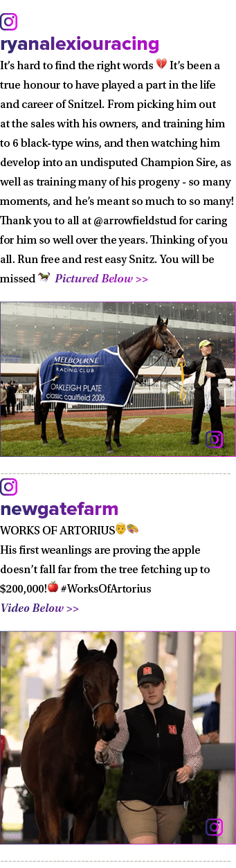 ￼ ryanalexiouracing It’s hard to find the right words 💔 It’s been a true honour to have played a part in the life an...