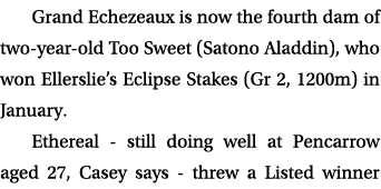 Grand Echezeaux is now the fourth dam of two year old Too Sweet (Satono Aladdin), who won Ellerslie’s Eclipse Stakes ...