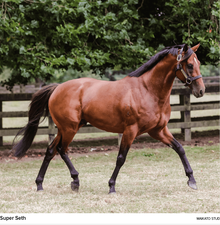 Super Seth waikato stu