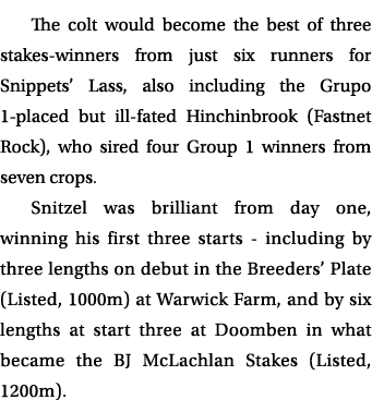 The colt would become the best of three stakes winners from just six runners for Snippets’ Lass, also including the G...