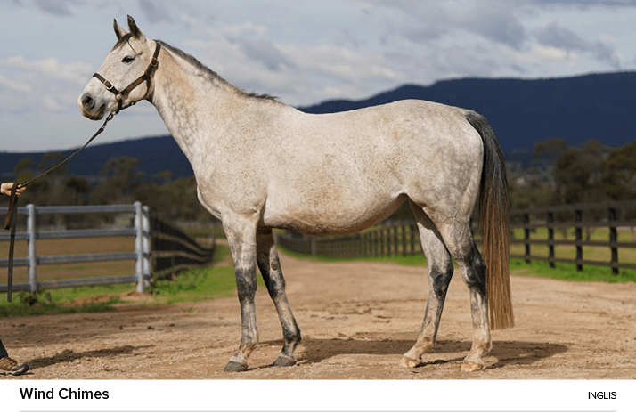 Wind Chimes ingli