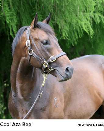 Cool Aza Beel newhaven par