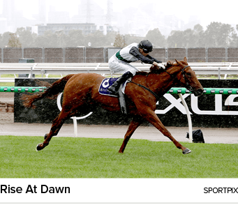Rise At Dawn sportpi