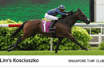 Lim's Kosciuszko singapore turf clu
