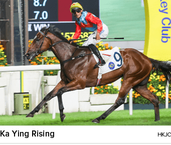 Ka Ying Rising hkj