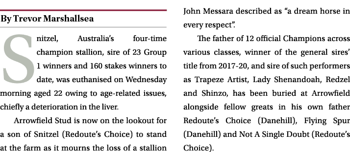 ￼ Snitzel, Australia’s four time champion stallion, sire of 23 Group 1 winners and 160 stakes winners to date, was eu...