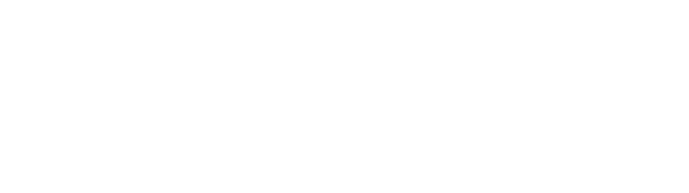 ‘A dream horse in every respect’