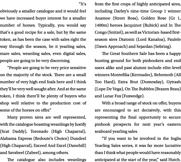  “It's obviously a smaller catalogue and it would feel we have increased buyer interest for a smaller number of horse...