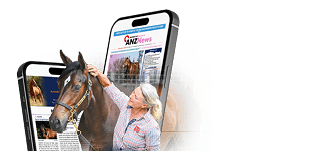 WhatsApp Chat Interface on Mobile Phone Mockup