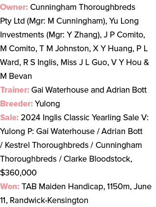 Owner: Cunningham Thoroughbreds Pty Ltd (Mgr: M Cunningham), Yu Long Investments (Mgr: Y Zhang), J P Comito, M Comito...