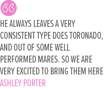 He always leaves a very consistent type does Toronado, and out of some well performed mares. So we are very excited t...