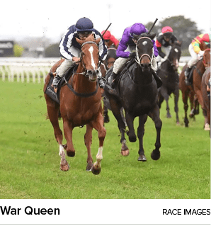 War Queen Race Image