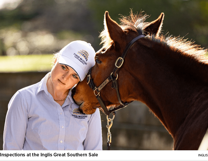 Inspections at the Inglis Great Southern Sale Ingli