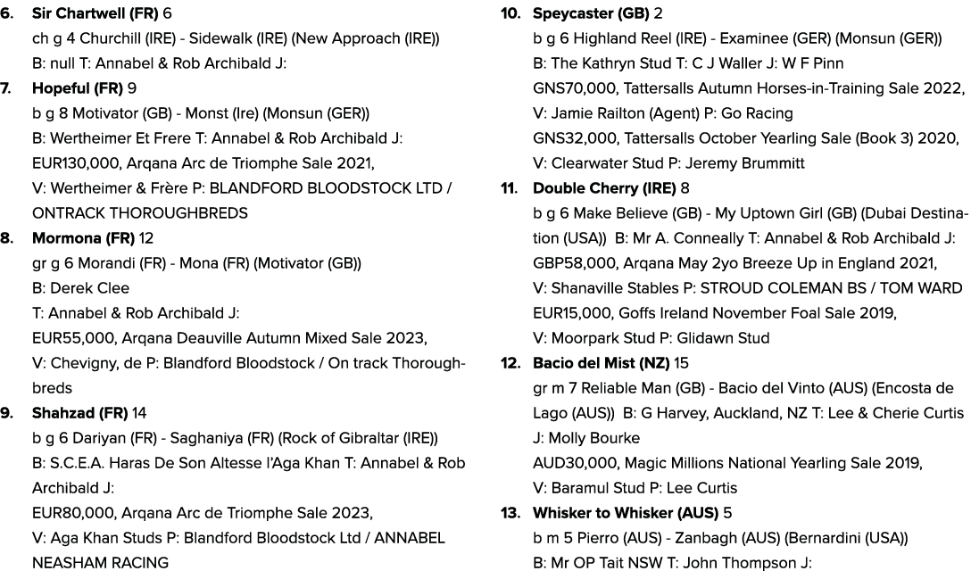 6. Sir Chartwell (FR) 6 ch g 4 Churchill (IRE) Sidewalk (IRE) (New Approach (IRE)) B: null T: Annabel & Rob Archibald...