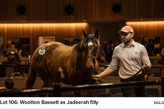 Lot 106: Wootton Bassett ex Jadeerah filly Ingli