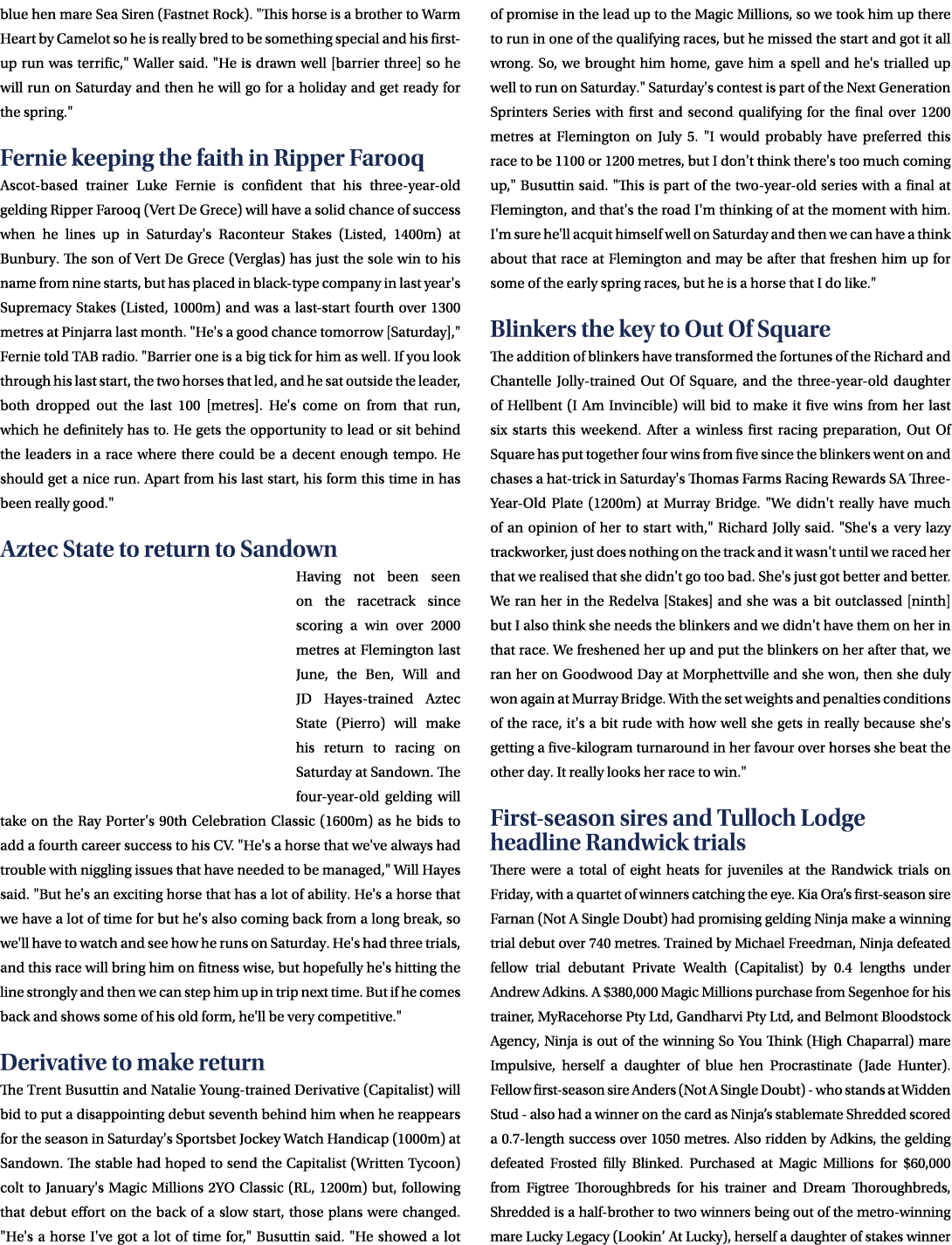 blue hen mare Sea Siren (Fastnet Rock). \“This horse is a brother to Warm Heart by Camelot so he is really bred to be...