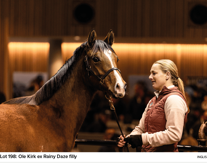 Lot 198: Ole Kirk ex Rainy Daze filly Ingli