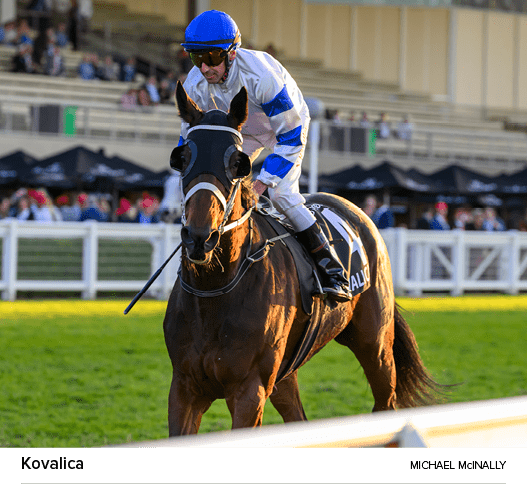 Kovalica Michael McInall