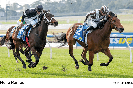 Hello Romeo racing photo