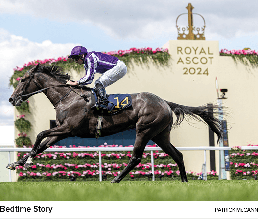 Bedtime Story Patrick McCan